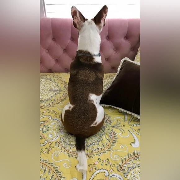 Meet your Posher, Shawn - Picture 2 of 13